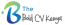 The Bold CV logo